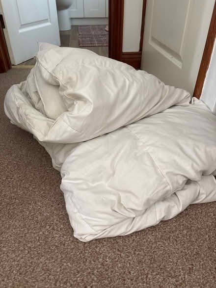 Photo of free Single feather duvet Fogarty make. (Hartford PE29) #1