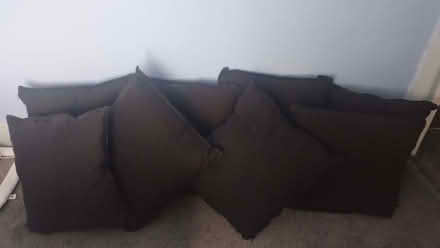 Photo of free Set of 8 black cushions (Holbrooks CV6) #1