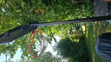 Photo of free Home Basketball 🏀 (RH12) #2