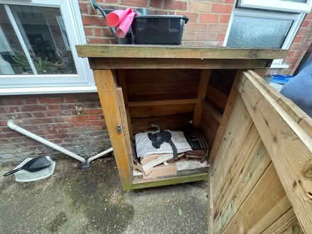 Photo of free Little Storage Shed (North City NR3) #3