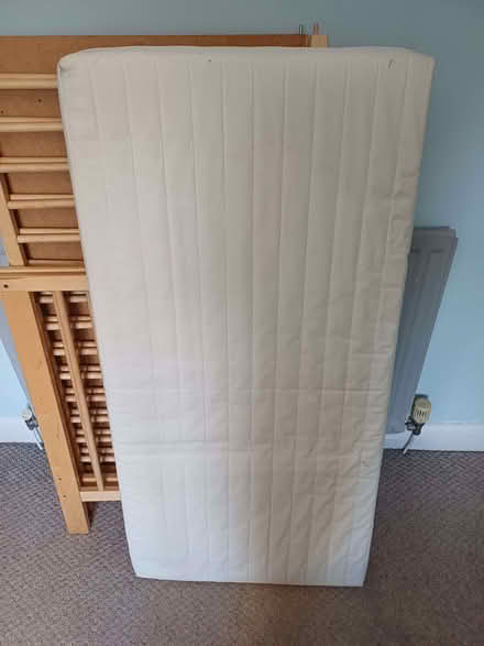 Photo of free Cot mattress (Royal Leamington Spa CV32) #1