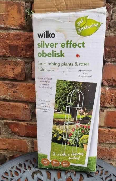 Photo of free Climbing plant frame (Oswestry SY11) #1