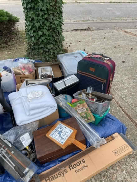Photo of free Various (Mistley CO11) #4