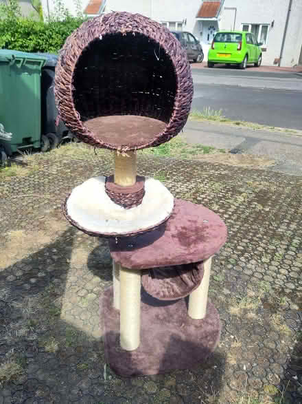 Photo of free Cat gym (Henley-on-Thames RG9) #3