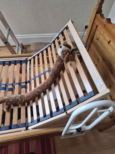 Photo of free Electric Adjustable Bed (Lewisham SE6) #1