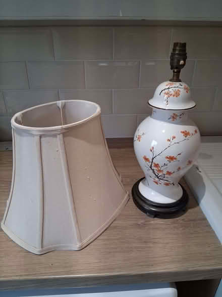 Photo of free Lamp & Shade (Waddon TQ13) #1