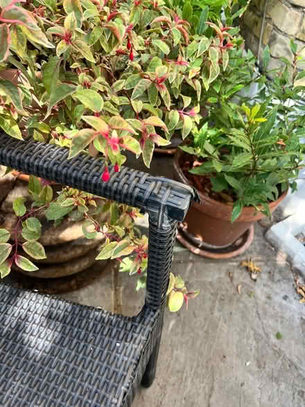Photo of free Garden bench (SW6) #4