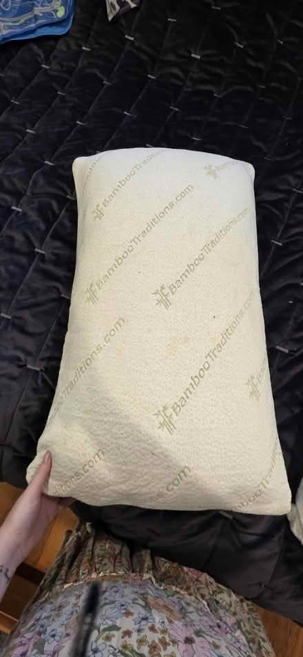 Photo of free Used pillows (Fremont) #3