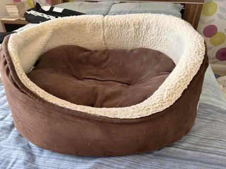 Photo of free Small comfy dog bed (BR5) #1