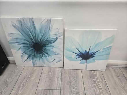Photo of free 2 x blue flower prints (NN18) #1