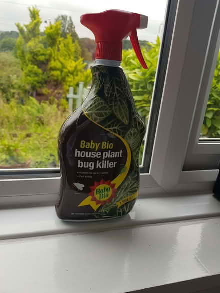 Photo of free House plant bug killer (Kendal LA9) #1