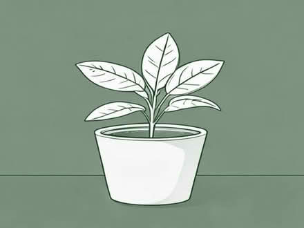 Photo of Large plastic plant pots eg 15cm and above diameter (Hotwells BS8) #1