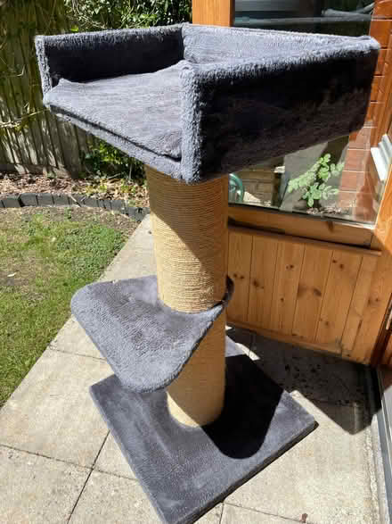 Photo of free Large cat tree (Radstock, Holcombe BA3) #2
