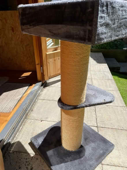 Photo of free Large cat tree (Radstock, Holcombe BA3) #3