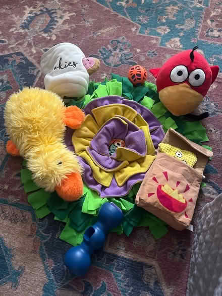 Photo of free Dog toys (Cambridgeport) #1