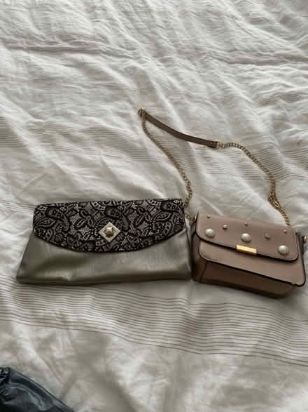 Photo of free Handbags (M32) #1