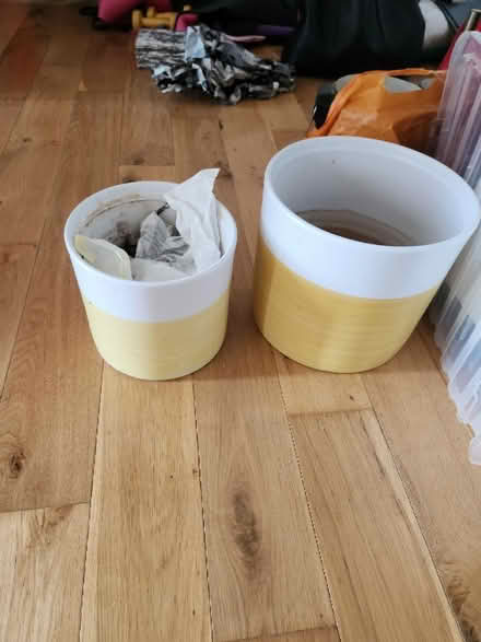 Photo of free x2 Plant Pots (PR9 0EA) #1
