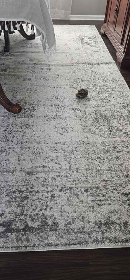 Photo of free 9x12 rug (Near Menchville high School) #1