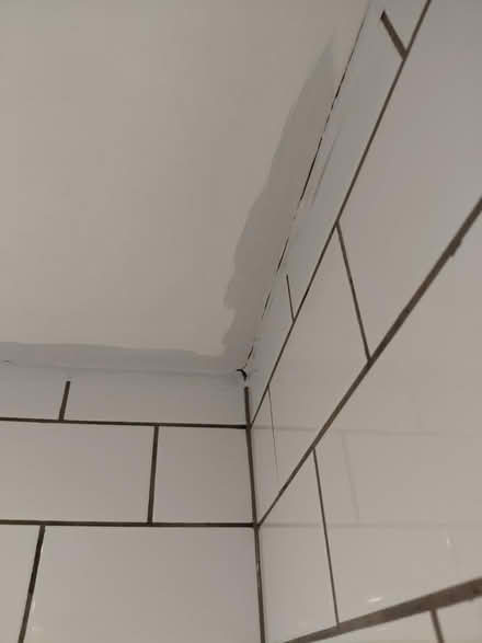 Photo of free Bathroom Paint (Knightsfield Welwyn Garden AL8) #3