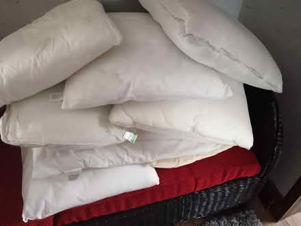Photo of free Cushions (Carnforth LA5) #1