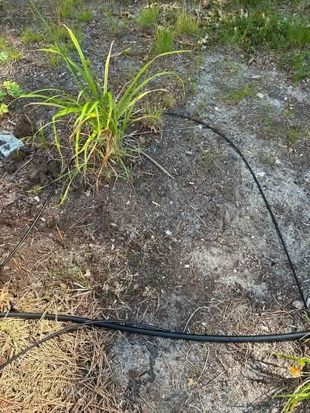 Photo of free Drip watering system for plants (East Falmouth) #4
