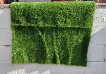Photo of free Artificial grass mat (Oswestry SY11) #1