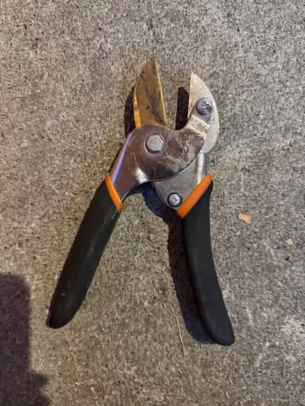 Photo of free Pruning Shears (Terra Linda) #1