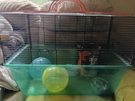 Photo of free Gerbil cage and accessories (Musselburgh EH21) #2