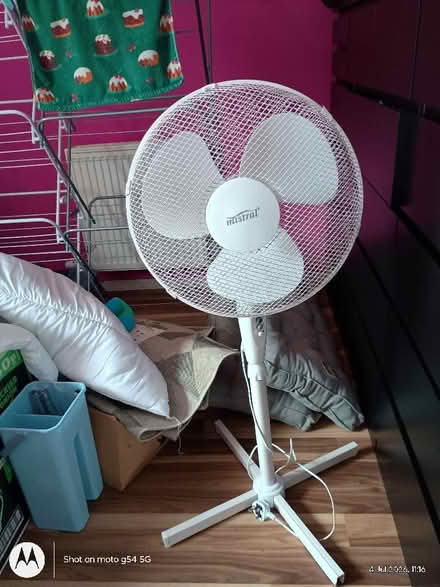 Photo of free electric floor fan (Drylaw EH4) #1