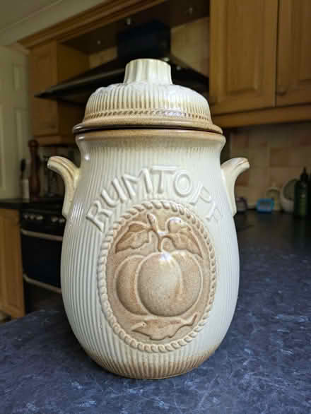 Photo of free Rumtopf (Buckskin RG22) #1