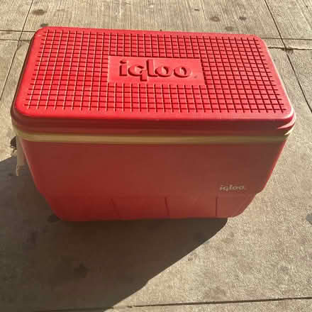 Photo of free Vintage 1983 Igloo Cooler (Bay Ridge, Brooklyn) #1