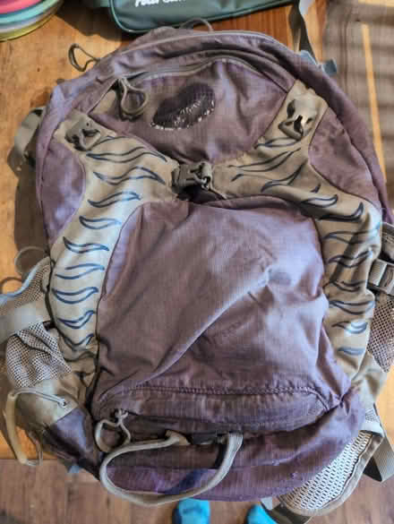 Photo of free Ladies Osprey rucksack 24L (Glasgow G20) #2