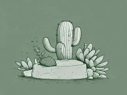 Photo of Cactus, living stones and succulent plants (Quinton B62) #1