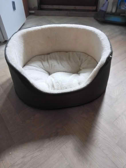 Photo of free Dog bed (Killamarsh S21) #1