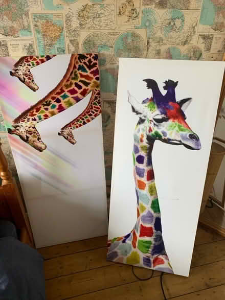 Photo of free 2 canvas prints (M32) #1