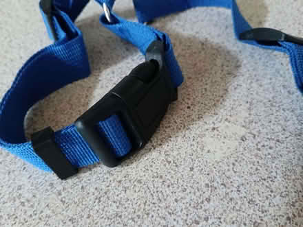 Photo of free Adjustable dog tether for car (Napsbury AL2) #2