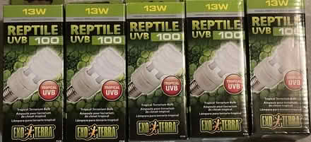 Photo of free Five - 13 W Tropical UVB 100 Bulbs (Port Murray, NJ) #1