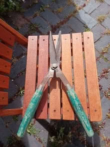 Photo of free Hedge trimmers (Shelton Lock DE24) #1