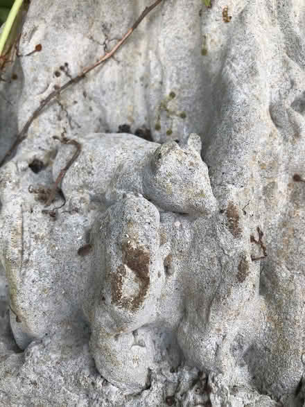Photo of free Solid Concrete bird bath base? (Leigh-on-Sea SS9) #2