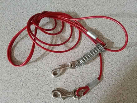 Photo of free Dog tether (Napsbury AL2) #1