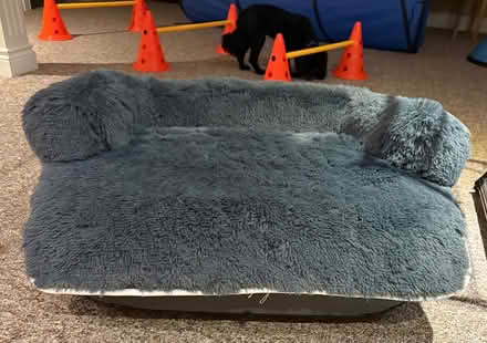 Photo of free Dog Bed (like new) (L97 0E) #3
