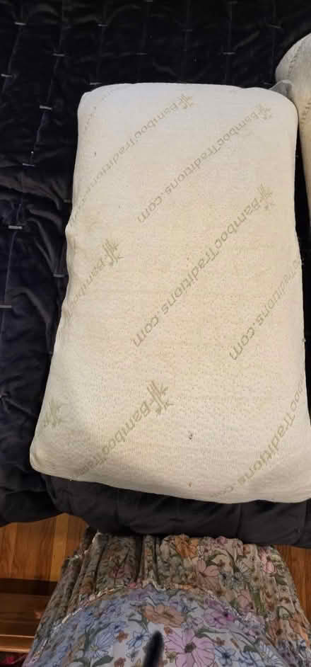 Photo of free Used pillows (Fremont) #2