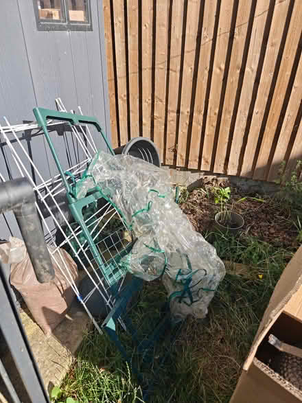 Photo of free Greenhouse (Tilbury RM18) #3
