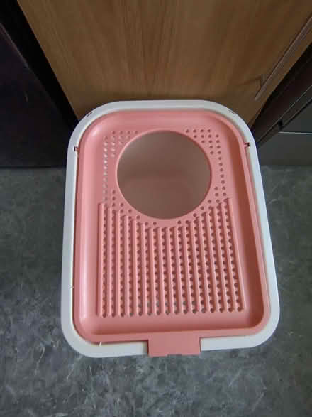 Photo of free XL cat litter box (WF3) #2