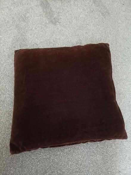 Photo of free Dark brown cushion (one) (Upton, SL1 1) #2