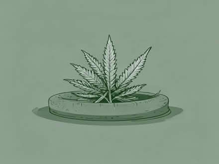 Photo of Weed barrier - heavy duty (Temple Cowley OX4) #1