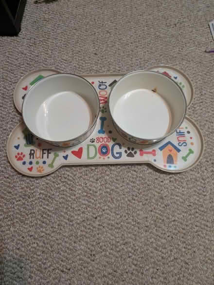 Photo of free Magnetic dog bowl set (Bowie) #3