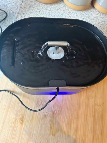Photo of free Cat water fountain (Airdrie ML6) #1