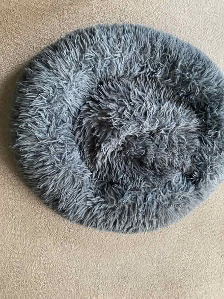 Photo of free Medium size Dog bed (Greenhill DY10) #1