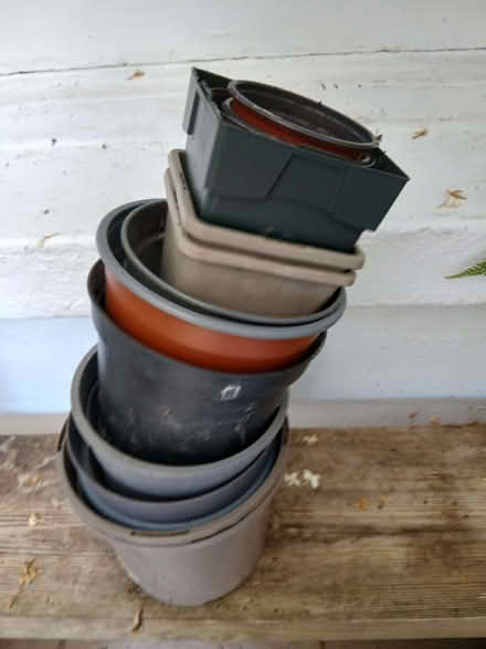 Photo of free Stack of plastic plant pots (St Leonards TN38) #1
